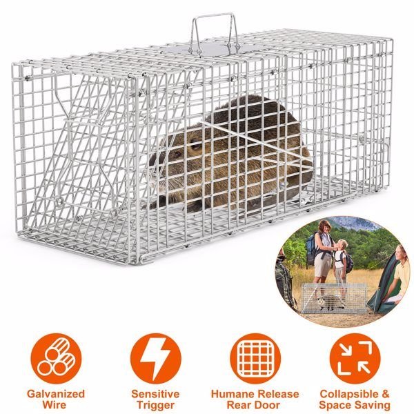 Humane Animal Trap Cage (30.51x11.02x11.81in) - Galvanized Sturdy Wire Mesh, Sensitive Trigger & Dual Doors, Handle Guard Plate, Collapsible for Raccoons, Opossums, Skunks Under 16.5lbs Indoor/Outdoor - Spot