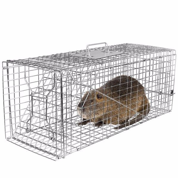 Humane Animal Trap Cage (30.51x11.02x11.81in) - Galvanized Sturdy Wire Mesh, Sensitive Trigger & Dual Doors, Handle Guard Plate, Collapsible for Raccoons, Opossums, Skunks Under 16.5lbs Indoor/Outdoor - Spot