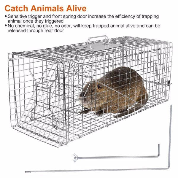 Humane Animal Trap Cage (30.51x11.02x11.81in) - Galvanized Sturdy Wire Mesh, Sensitive Trigger & Dual Doors, Handle Guard Plate, Collapsible for Raccoons, Opossums, Skunks Under 16.5lbs Indoor/Outdoor - Spot
