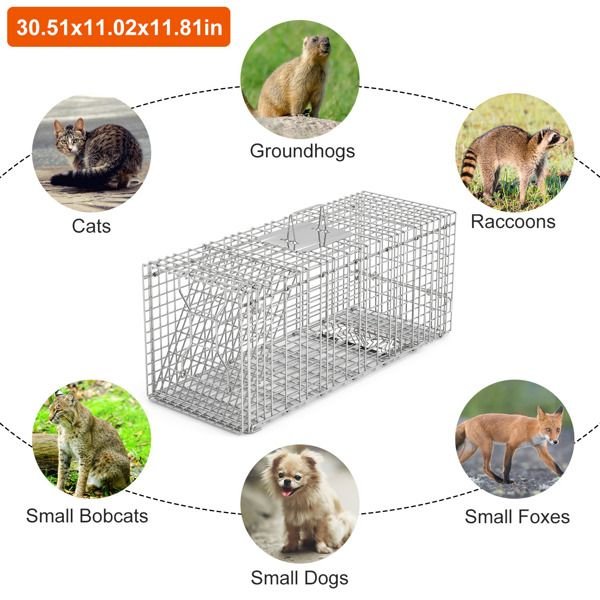 Humane Animal Trap Cage (30.51x11.02x11.81in) - Galvanized Sturdy Wire Mesh, Sensitive Trigger & Dual Doors, Handle Guard Plate, Collapsible for Raccoons, Opossums, Skunks Under 16.5lbs Indoor/Outdoor - Spot