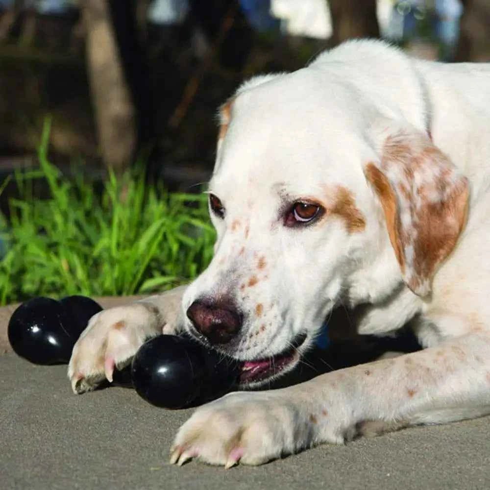 KONG Extreme Goodie Bone - Super Tough Dog Toy for Power Chewers - Durable Rubber Bone by Souths Cheap Stuff