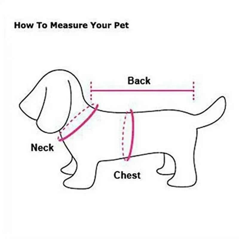 Winter Dog Coats for Big Breeds - Stylish Large Dog Jackets by Souths Cheap Stuff