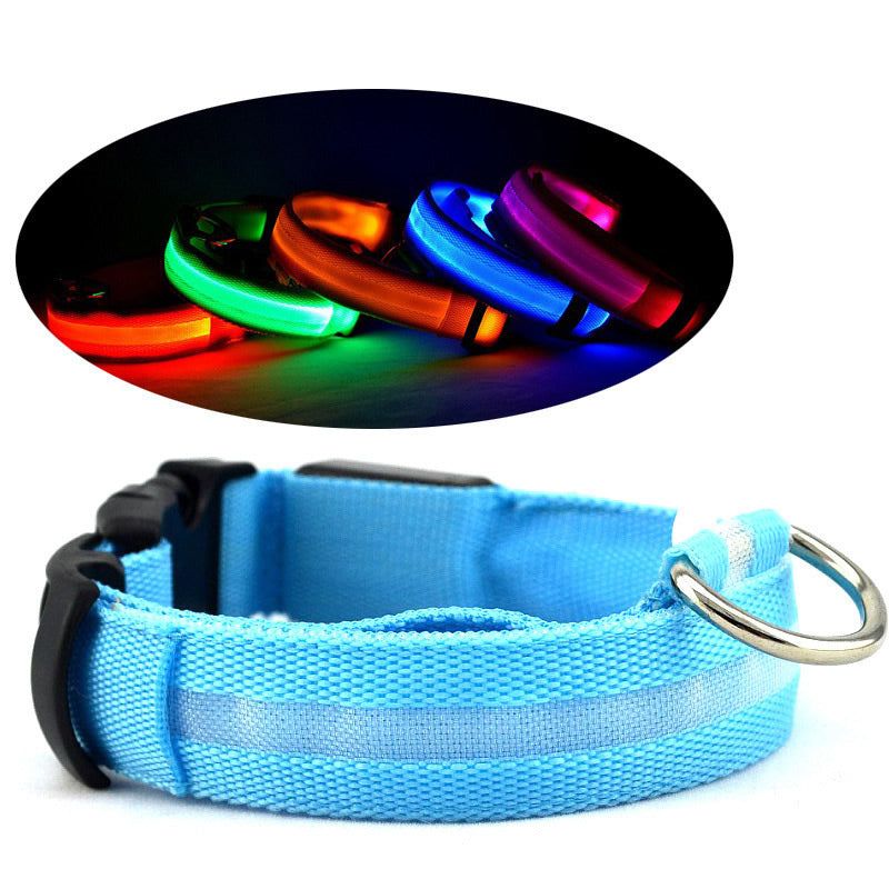 LED Halo Pet Collar for Safety - Spot
