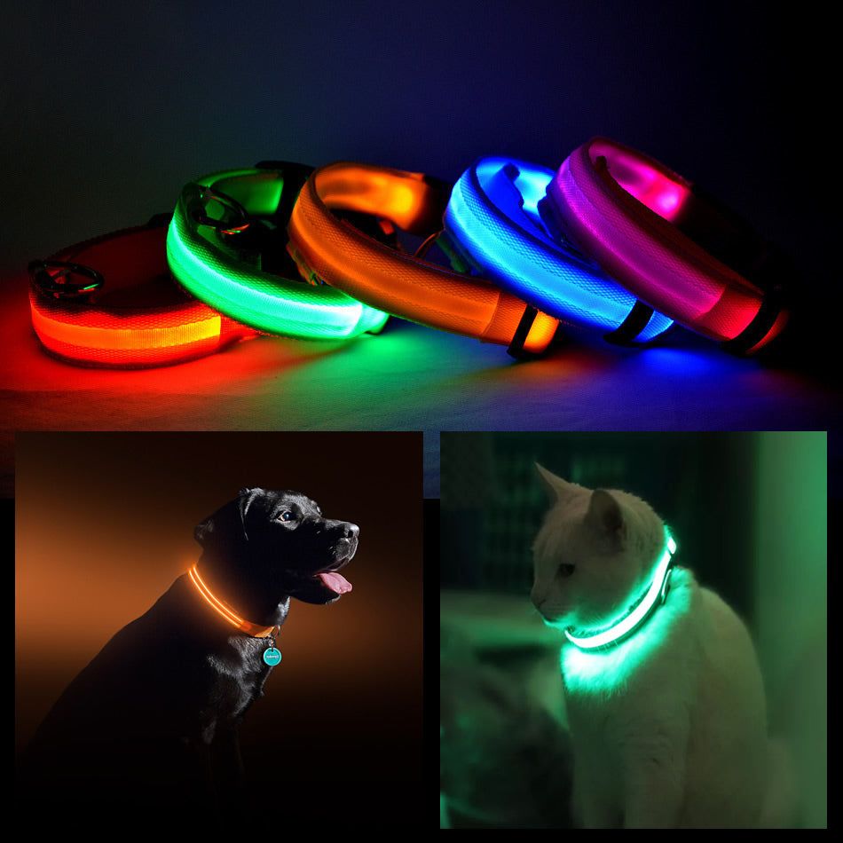 LED Halo Pet Collar for Safety - Spot
