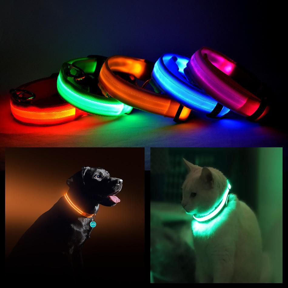 LED Halo Pet Collar for Safety - Spot