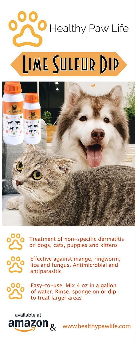 Lime Sulfur Dip - Spot