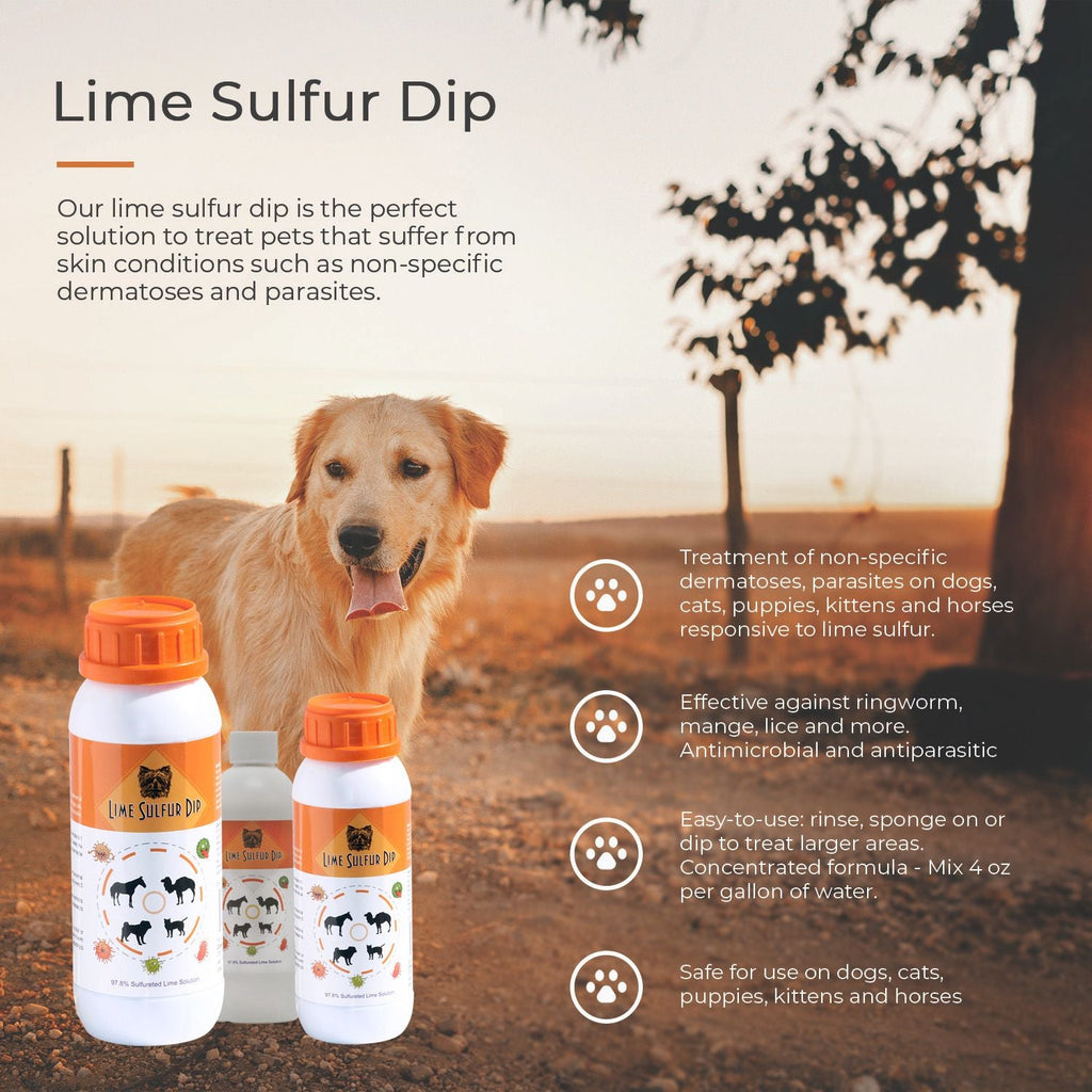 Lime Sulfur Dip - Spot