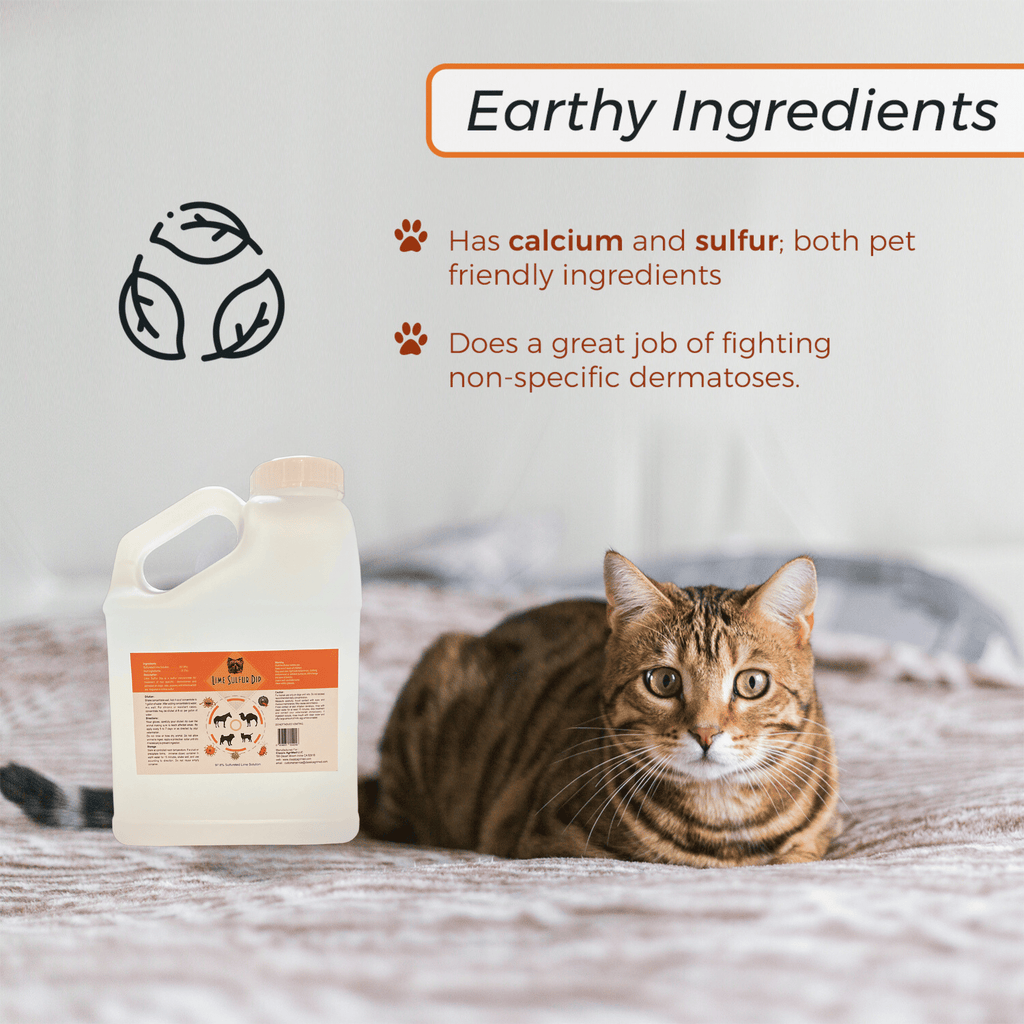 Lime Sulfur Dip - Spot