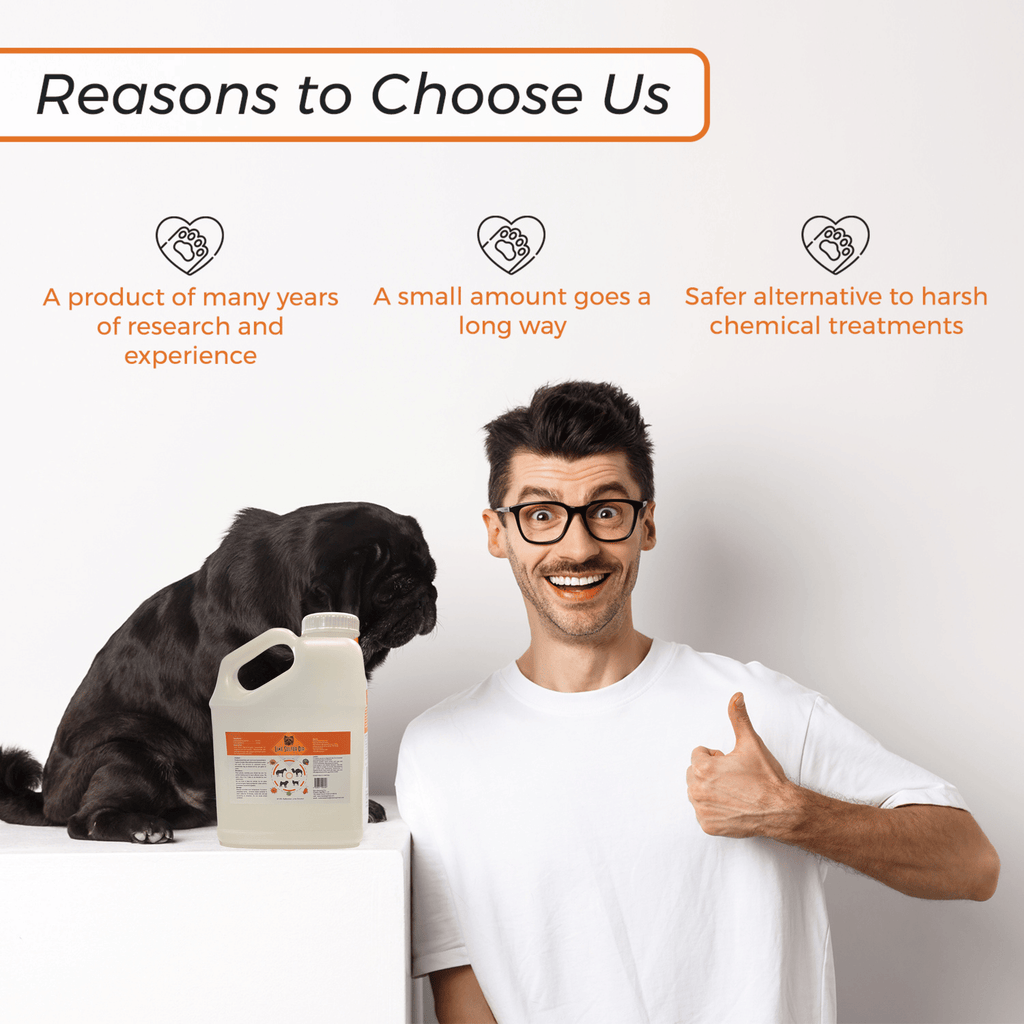 Lime Sulfur Dip - Spot