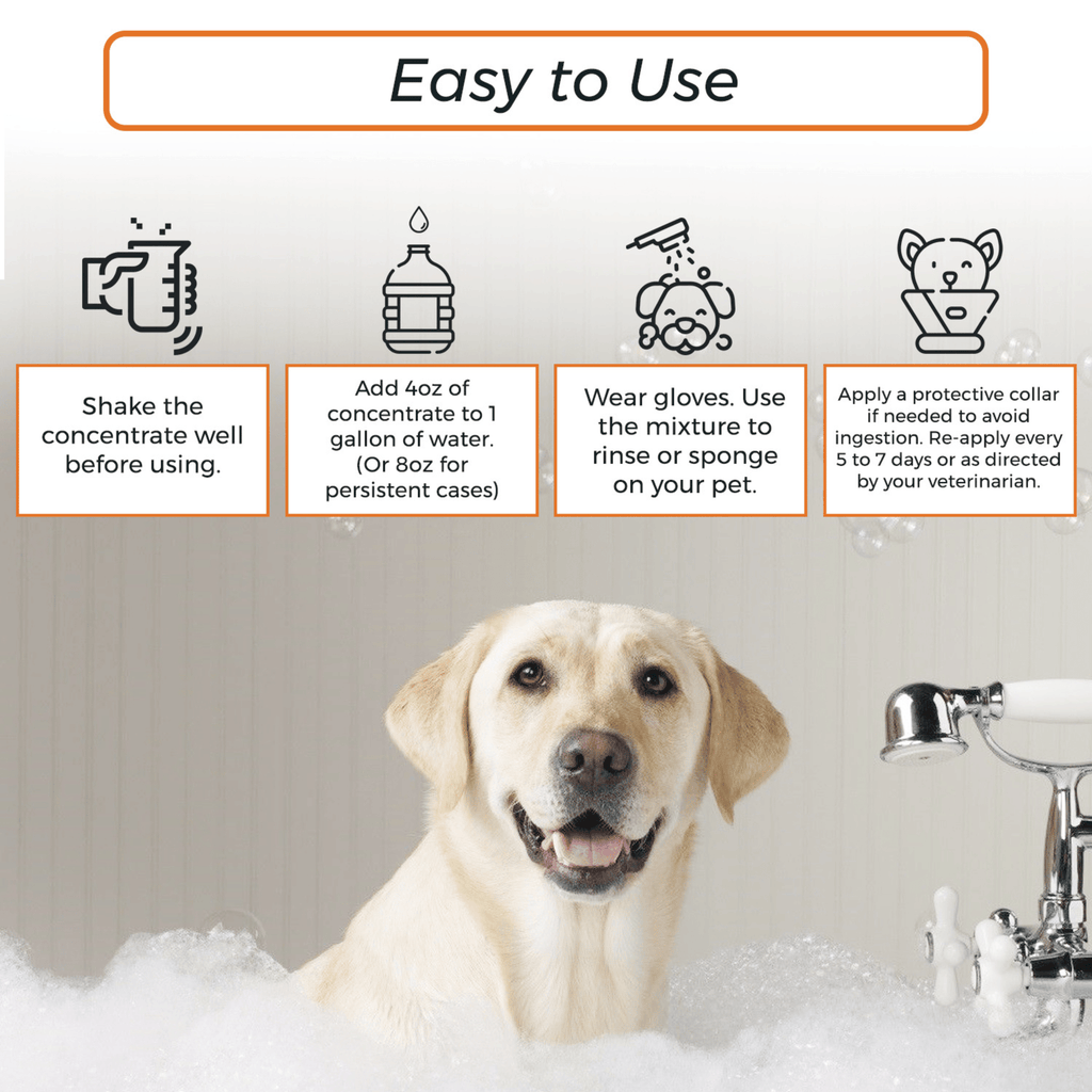 Lime Sulfur Dip - Spot