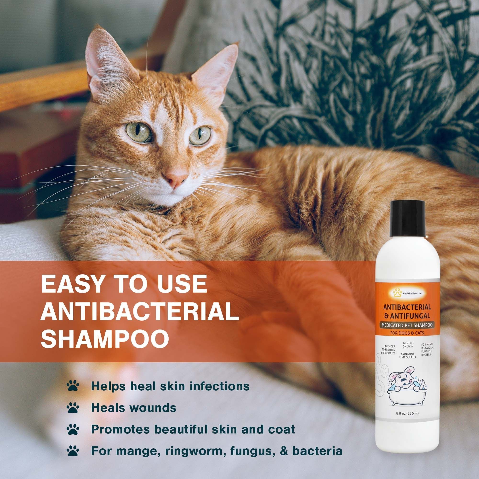 Lime Sulfur Pet Shampoo - Pet Care and Veterinary Solution for Itchy and Dry Skin - Safe for Dog; Cat; Puppy; Kitten; Horse - Spot
