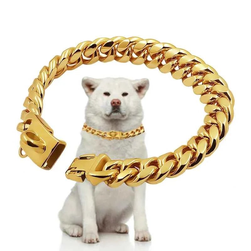 Gold Stainless Steel Dog Collar for Small-Medium-Large Dogs by Souths Cheap Stuff