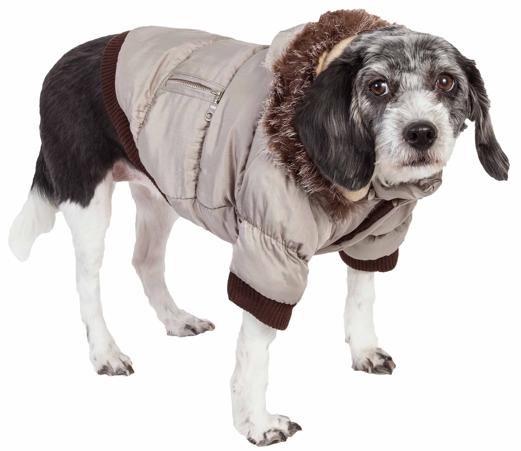 Metallic Fashion Pet Parka Coat - Spot