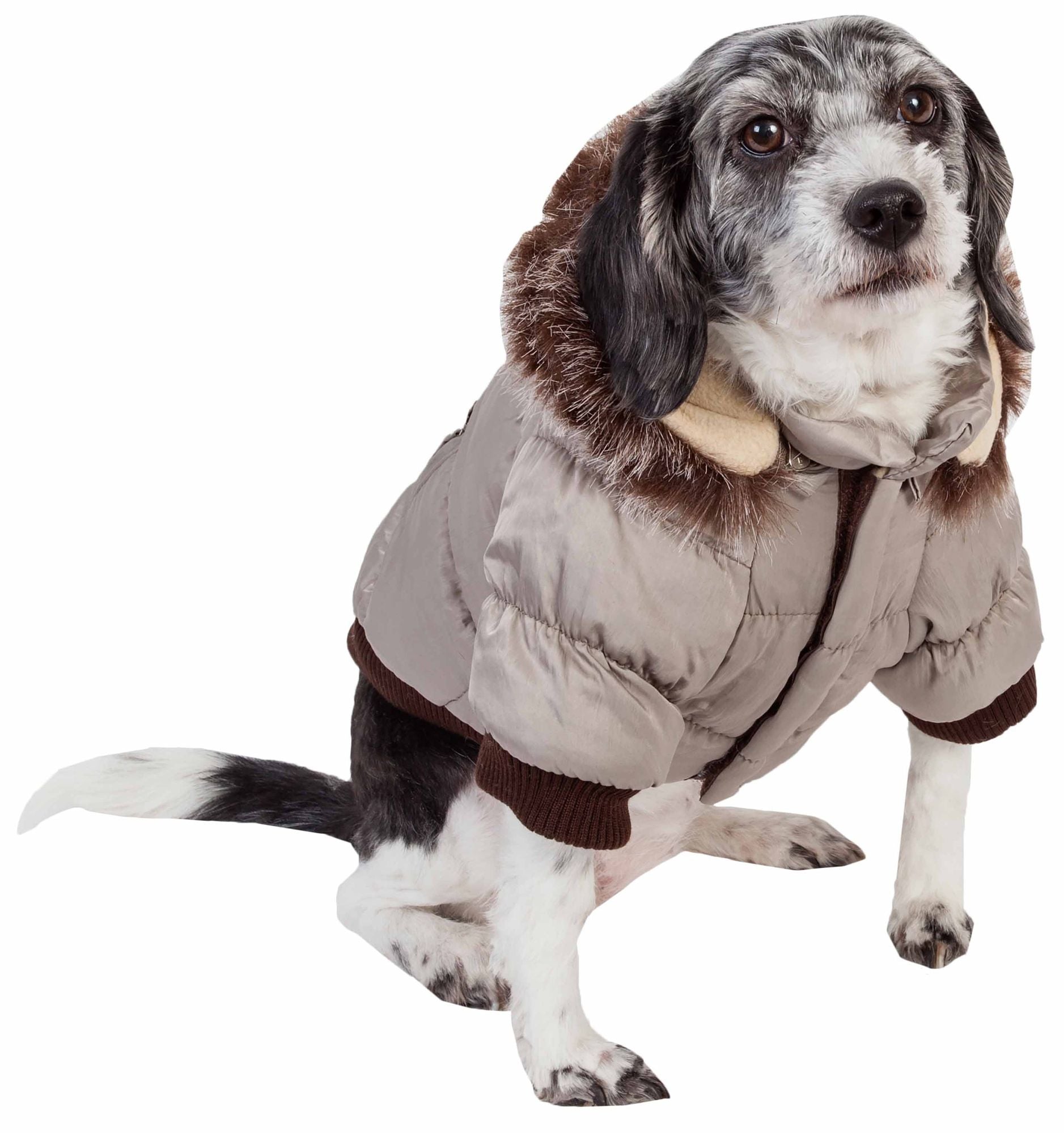 Metallic Fashion Pet Parka Coat - Spot
