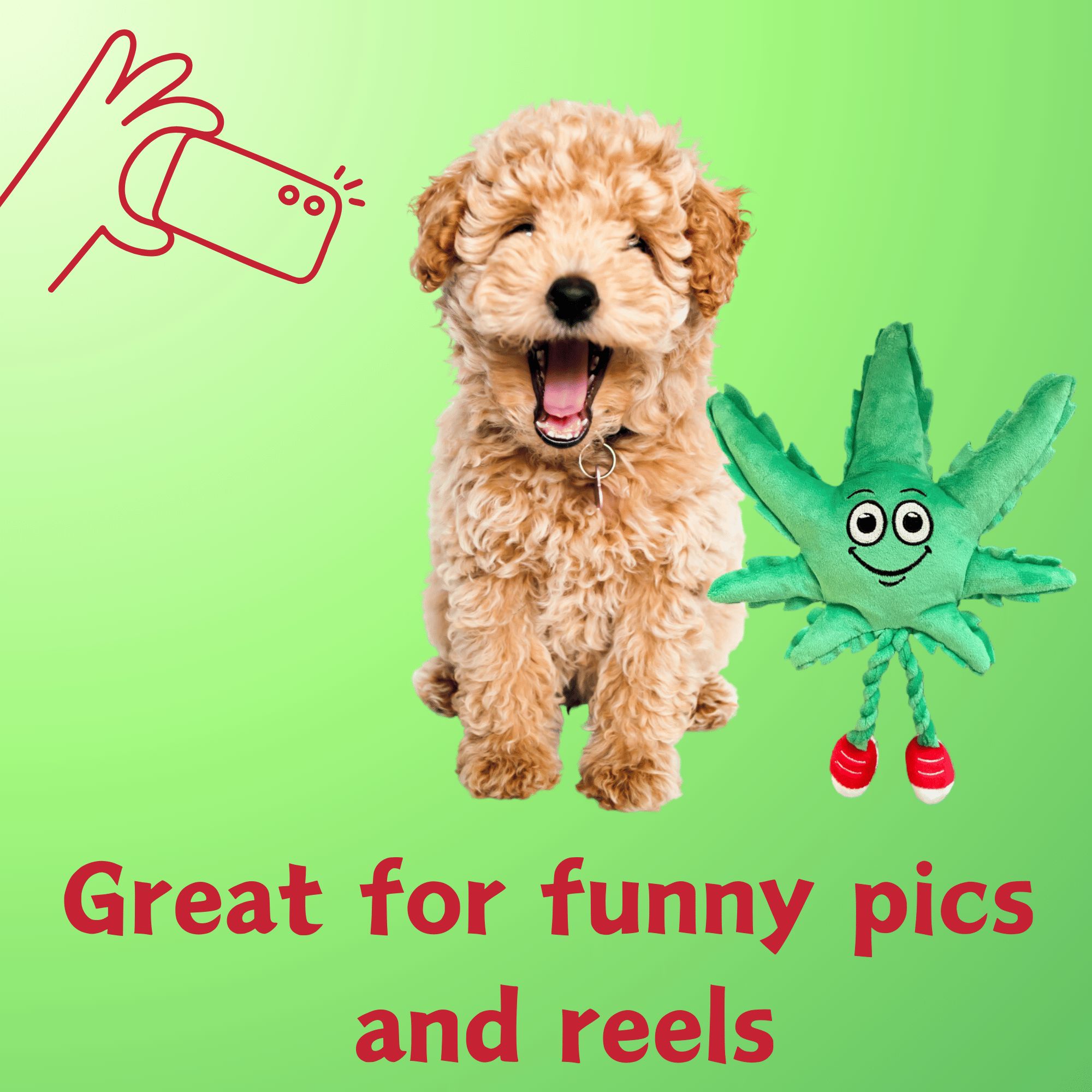 My Name is MJ, Cute Stuffed Parody Marijuana Leaf Dog Toy, Funny Squeaky Weed Toy, Cool Plush Novelty 420 Gift for Puppies & Small, Medium & Large Breeds, for Fetch & a Photo Prop, Shelf - Sitter - Spot