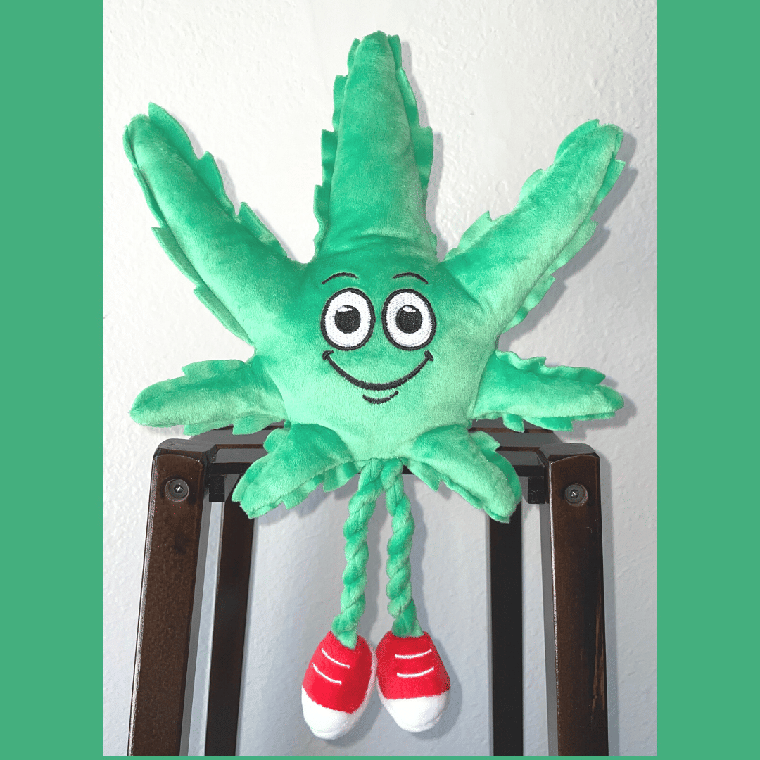 My Name is MJ, Cute Stuffed Parody Marijuana Leaf Dog Toy, Funny Squeaky Weed Toy, Cool Plush Novelty 420 Gift for Puppies & Small, Medium & Large Breeds, for Fetch & a Photo Prop, Shelf - Sitter - Spot