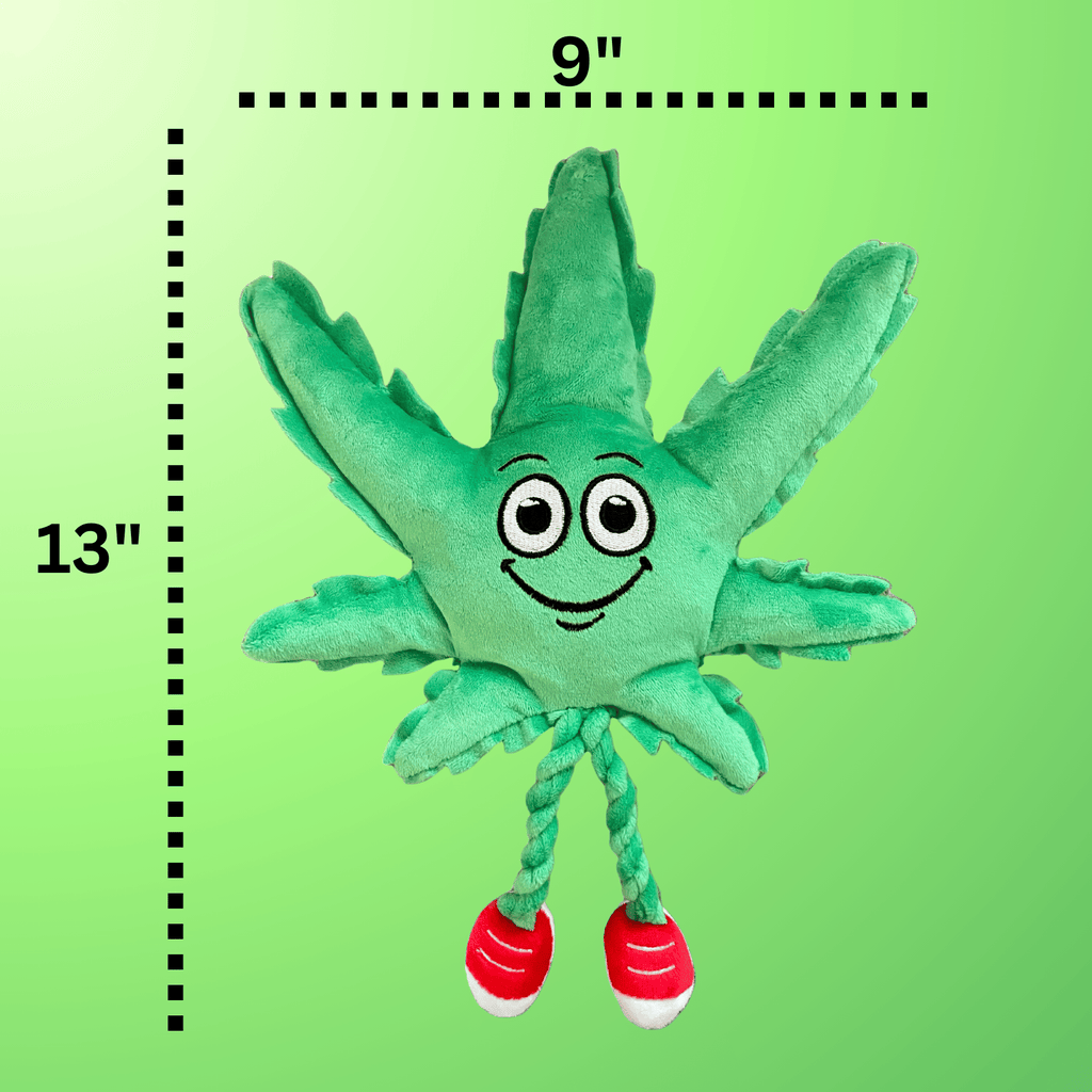 My Name is MJ, Cute Stuffed Parody Marijuana Leaf Dog Toy, Funny Squeaky Weed Toy, Cool Plush Novelty 420 Gift for Puppies & Small, Medium & Large Breeds, for Fetch & a Photo Prop, Shelf - Sitter - Spot