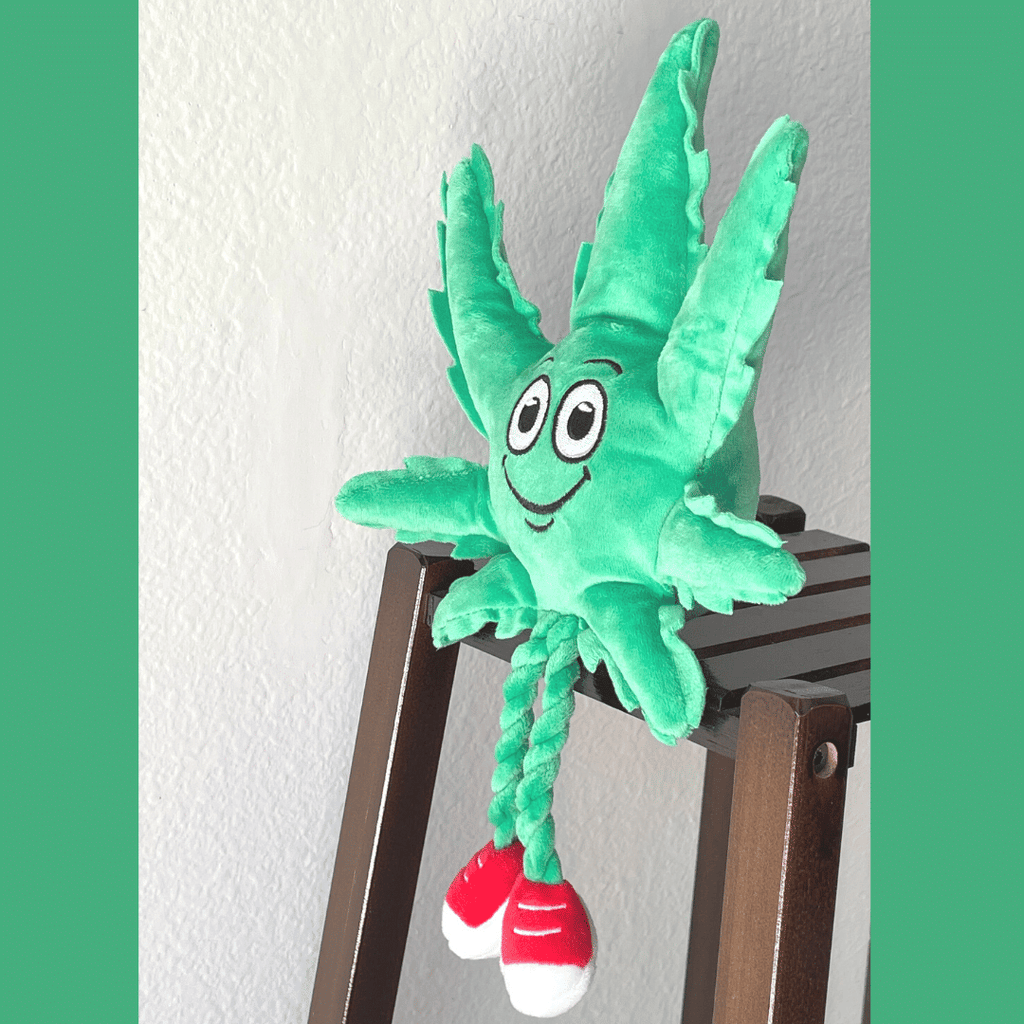 My Name is MJ, Cute Stuffed Parody Marijuana Leaf Dog Toy, Funny Squeaky Weed Toy, Cool Plush Novelty 420 Gift for Puppies & Small, Medium & Large Breeds, for Fetch & a Photo Prop, Shelf - Sitter - Spot