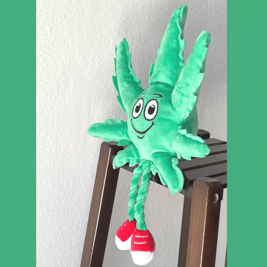 My Name is MJ, Cute Stuffed Parody Marijuana Leaf Dog Toy, Funny Squeaky Weed Toy, Cool Plush Novelty 420 Gift for Puppies & Small, Medium & Large Breeds, for Fetch & a Photo Prop, Shelf - Sitter - Spot