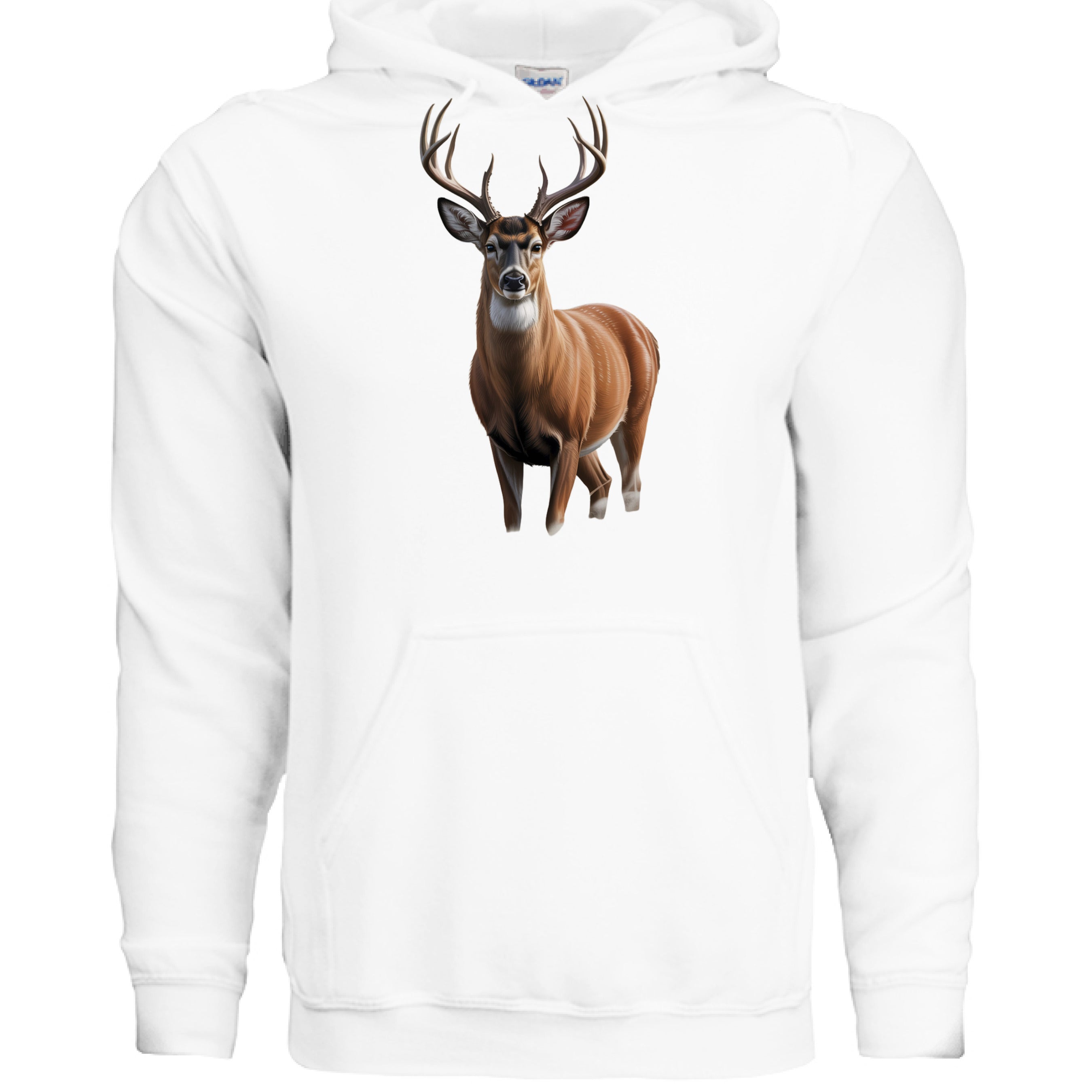 Big buck deer - Spot