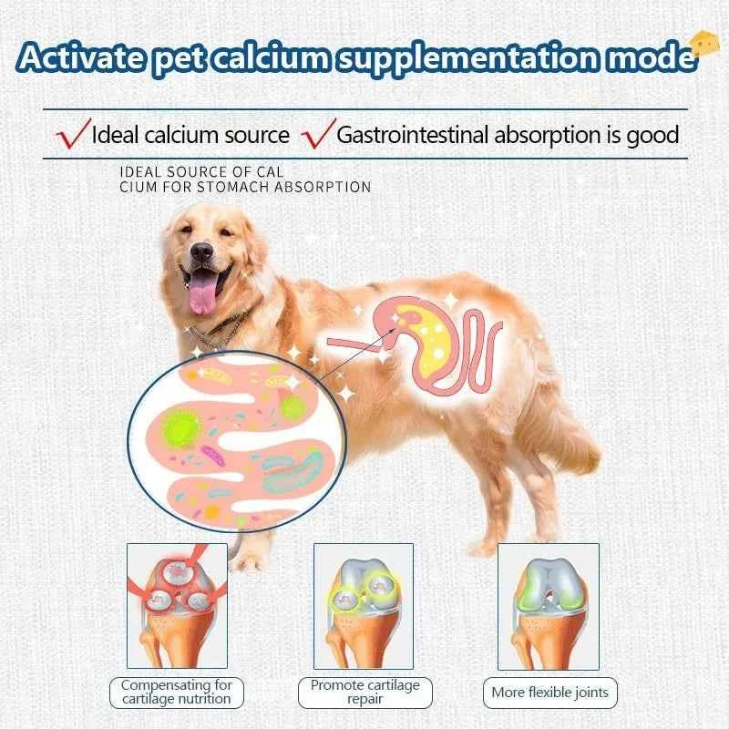 High Calcium Freeze-Dried Cheese Snacks for Pets, Nutrient-Rich Dog Treats by Souths Cheap Stuff