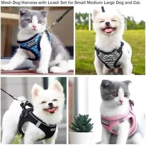 Pet-friendly harness set with adjustable leash, reflective step-in design for dogs & cats. Green XS. by Souths Cheap Stuff