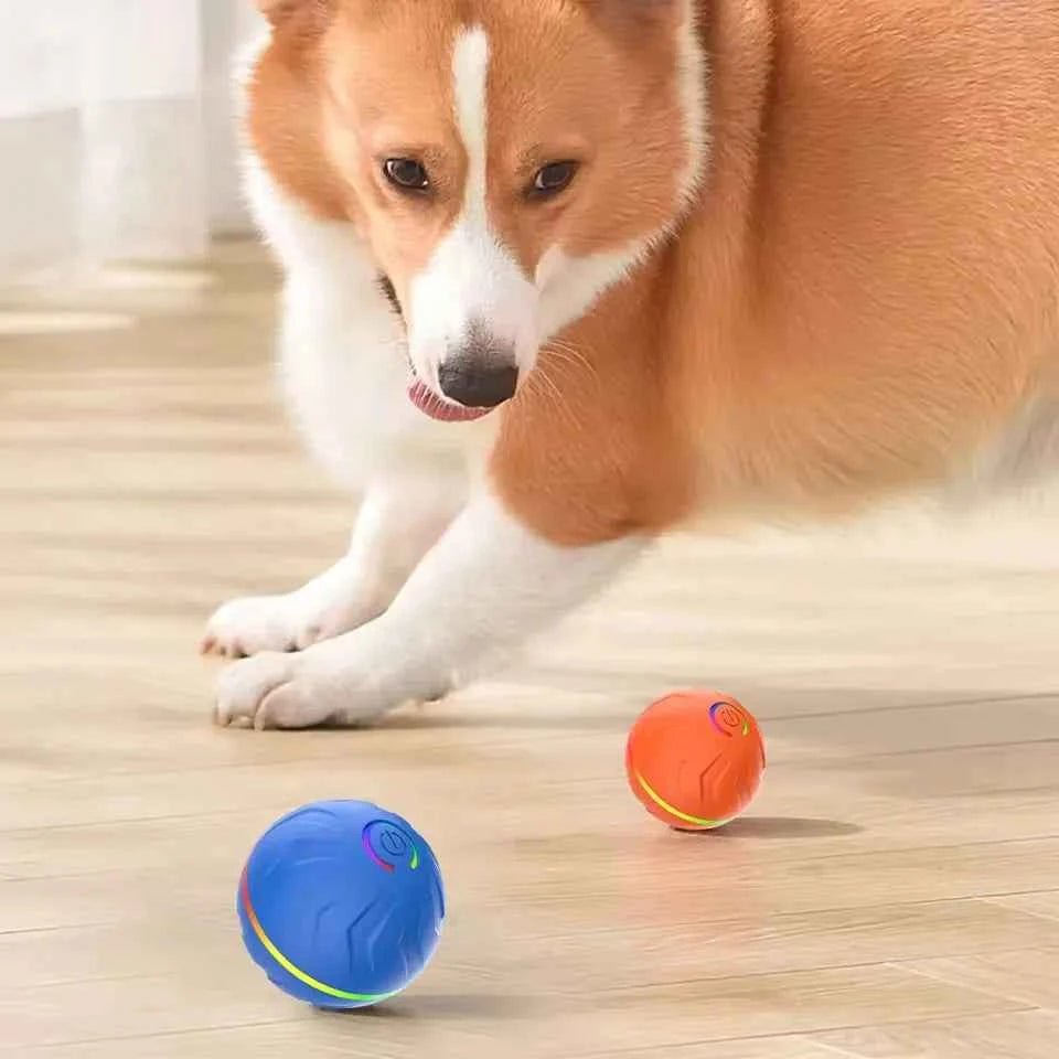 Smart Electric Dog Toy Interactive Ball for Active Pets by Souths Cheap Stuff