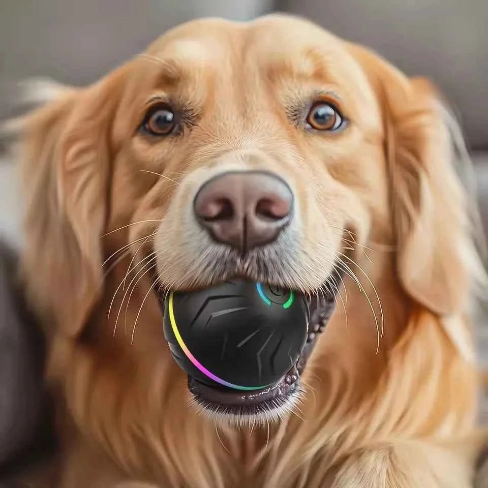 Smart Electric Dog Toy Interactive Ball for Active Pets by Souths Cheap Stuff