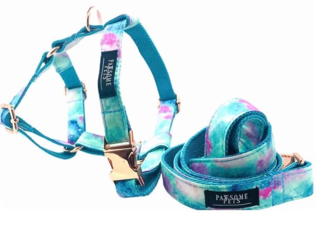 STEP IN BUNDLE - SKY (2 PIECES) by PAWSOME PETS