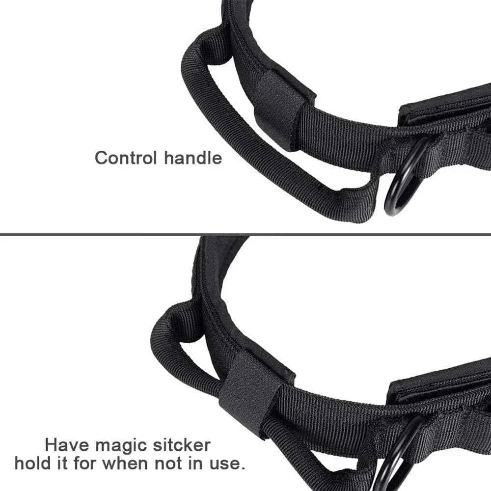 Heavy Duty Tactical Dog Collar with Anti-Pull Leash Set by Souths Cheap Stuff
