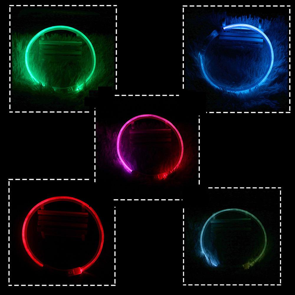 Usb Rechargeable Glow-In-The-Dark Pet Collar With Three Flashing Modes by Dog Hugs Cat