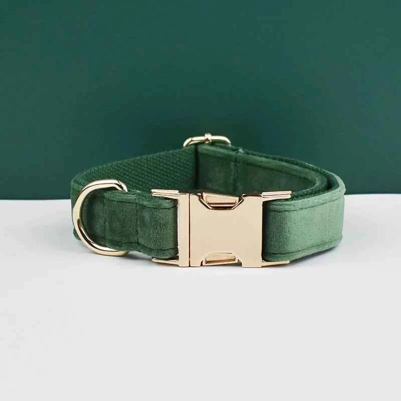 Luxury Velvet Dog Collar Leash Set, Adjustable Gold Leash for Stylish Dogs by Souths Cheap Stuff