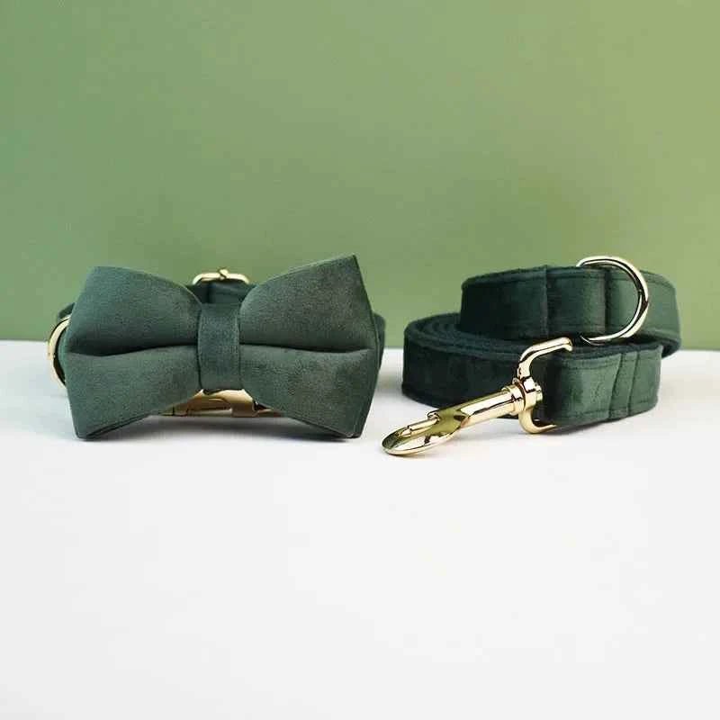 Luxury Velvet Dog Collar Leash Set, Adjustable Gold Leash for Stylish Dogs by Souths Cheap Stuff