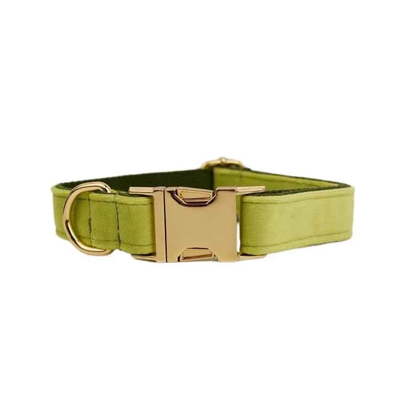 Luxury Velvet Dog Collar Leash Set, Adjustable Gold Leash for Stylish Dogs by Souths Cheap Stuff