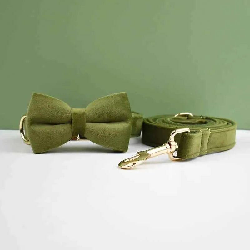 Luxury Velvet Dog Collar Leash Set, Adjustable Gold Leash for Stylish Dogs by Souths Cheap Stuff
