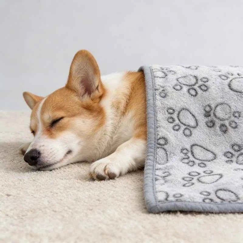 Embossed Paw Print Flannel Pet Blanket for Winter Dog Bed, Soft Cozy Throw Mat by Souths Cheap Stuff