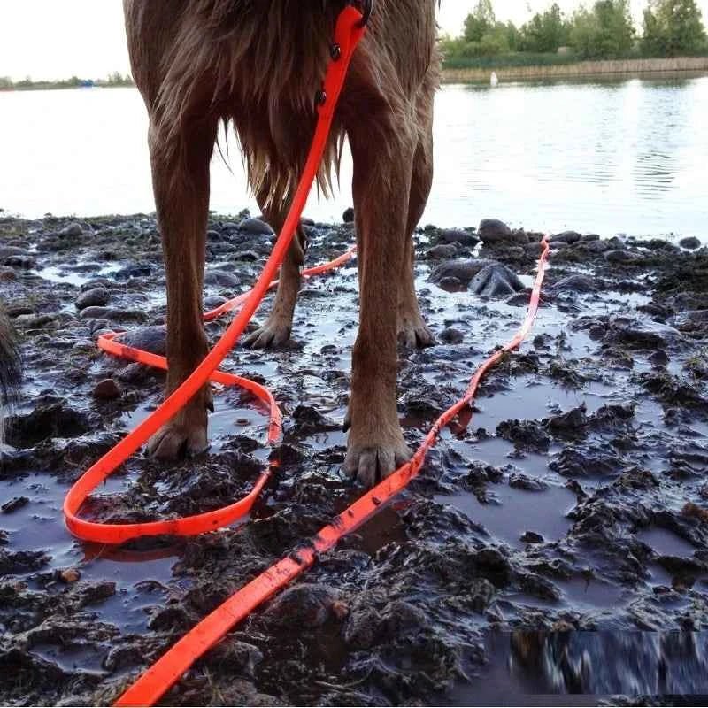 Durable Waterproof PVC Dog Leash, Easy-Clean, Long Training Lead for All Dog Sizes by Souths Cheap Stuff