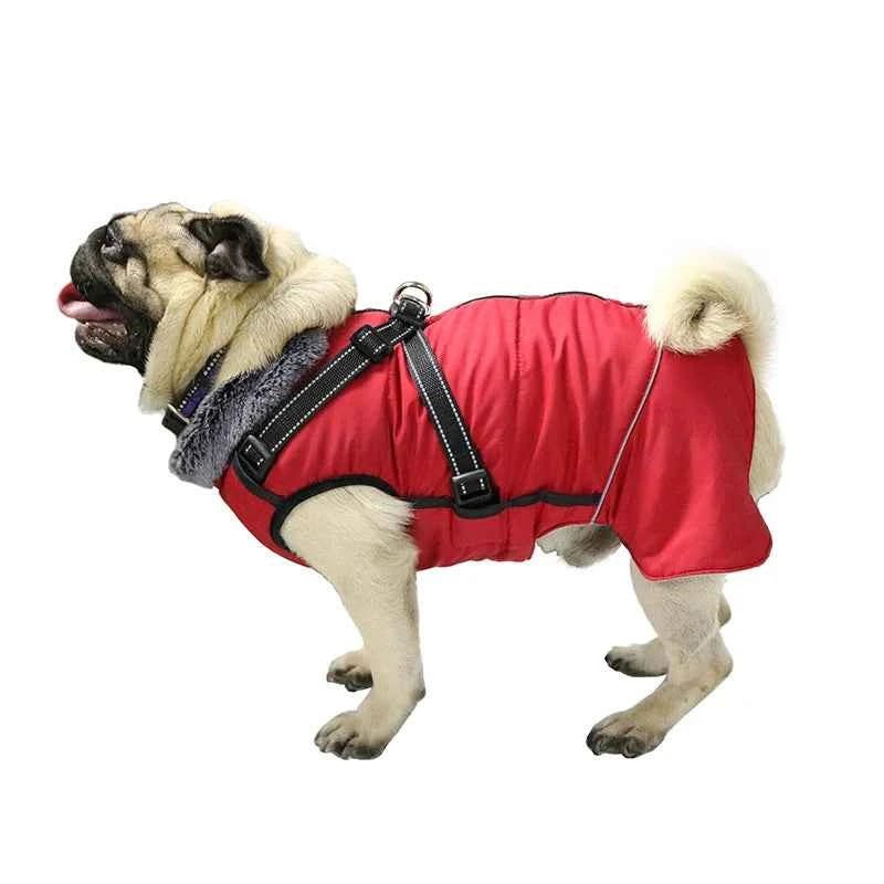 Waterproof Dog Jacket with Harness Winter Coat for Medium Large Breeds by Souths Cheap Stuff
